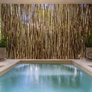 Casa Cenote Private Pool Gated , Tulum Mexiko